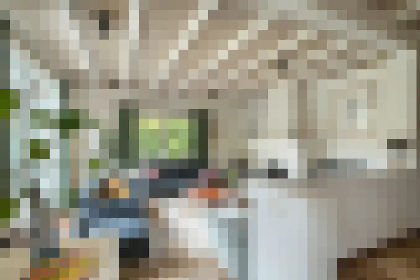 Akkerveld 13 Bavel thumbnail 10