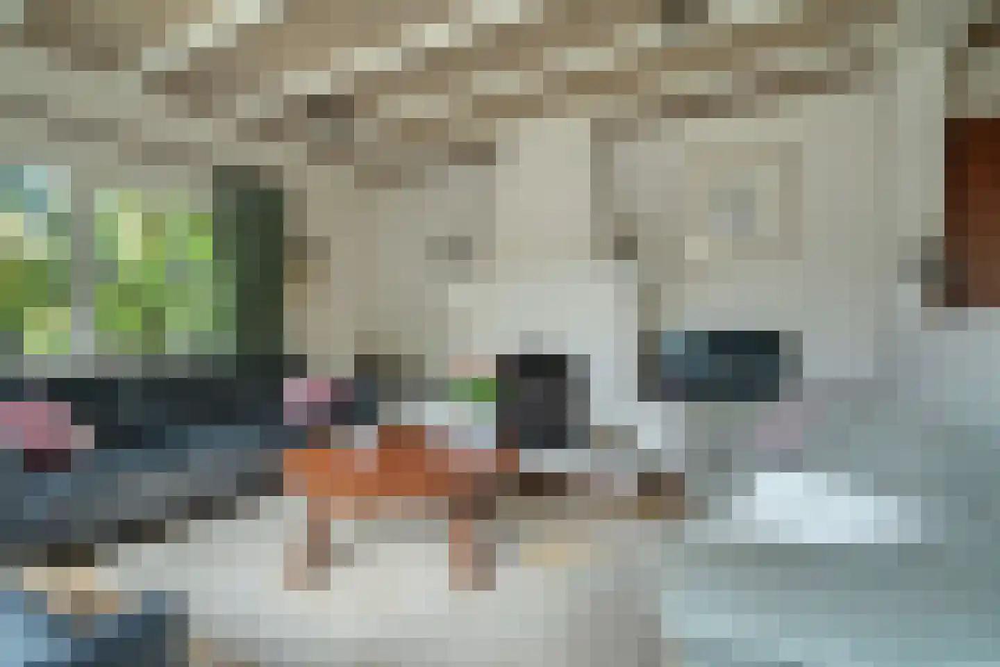 Akkerveld 13 Bavel thumbnail 11