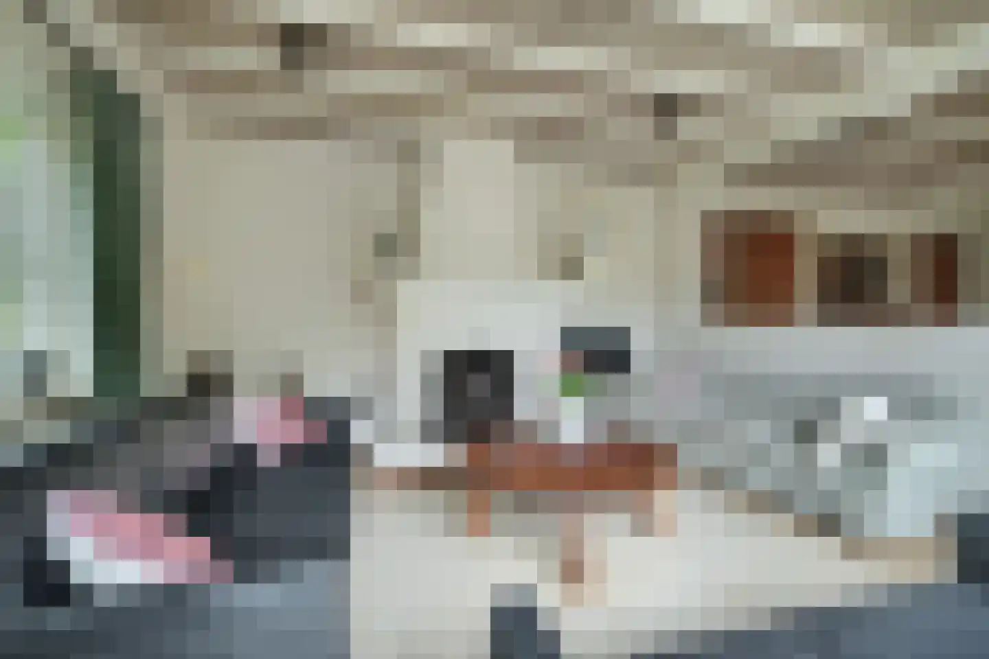 Akkerveld 13 Bavel thumbnail 12