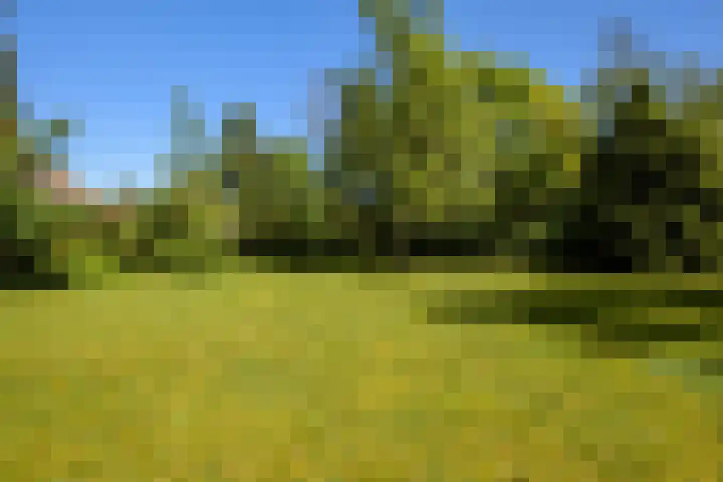 Akkerveld 13 Bavel thumbnail 22