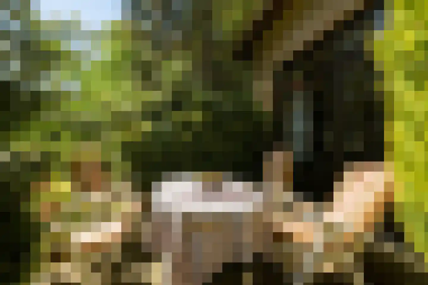 Akkerveld 13 Bavel thumbnail 24