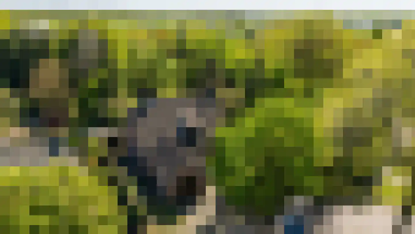 Akkerveld 13 Bavel thumbnail 33