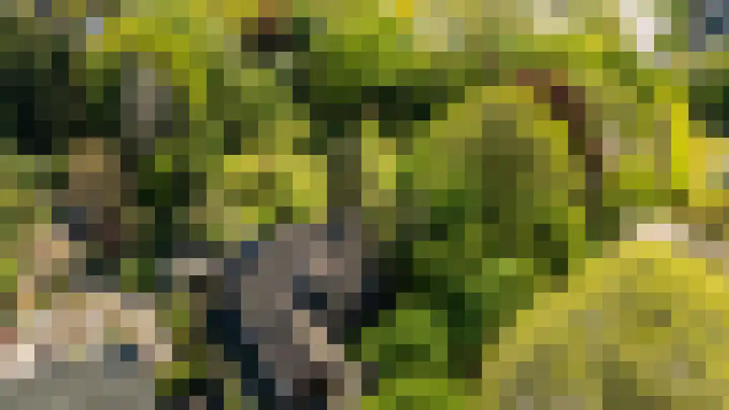 Akkerveld 13 Bavel thumbnail 34