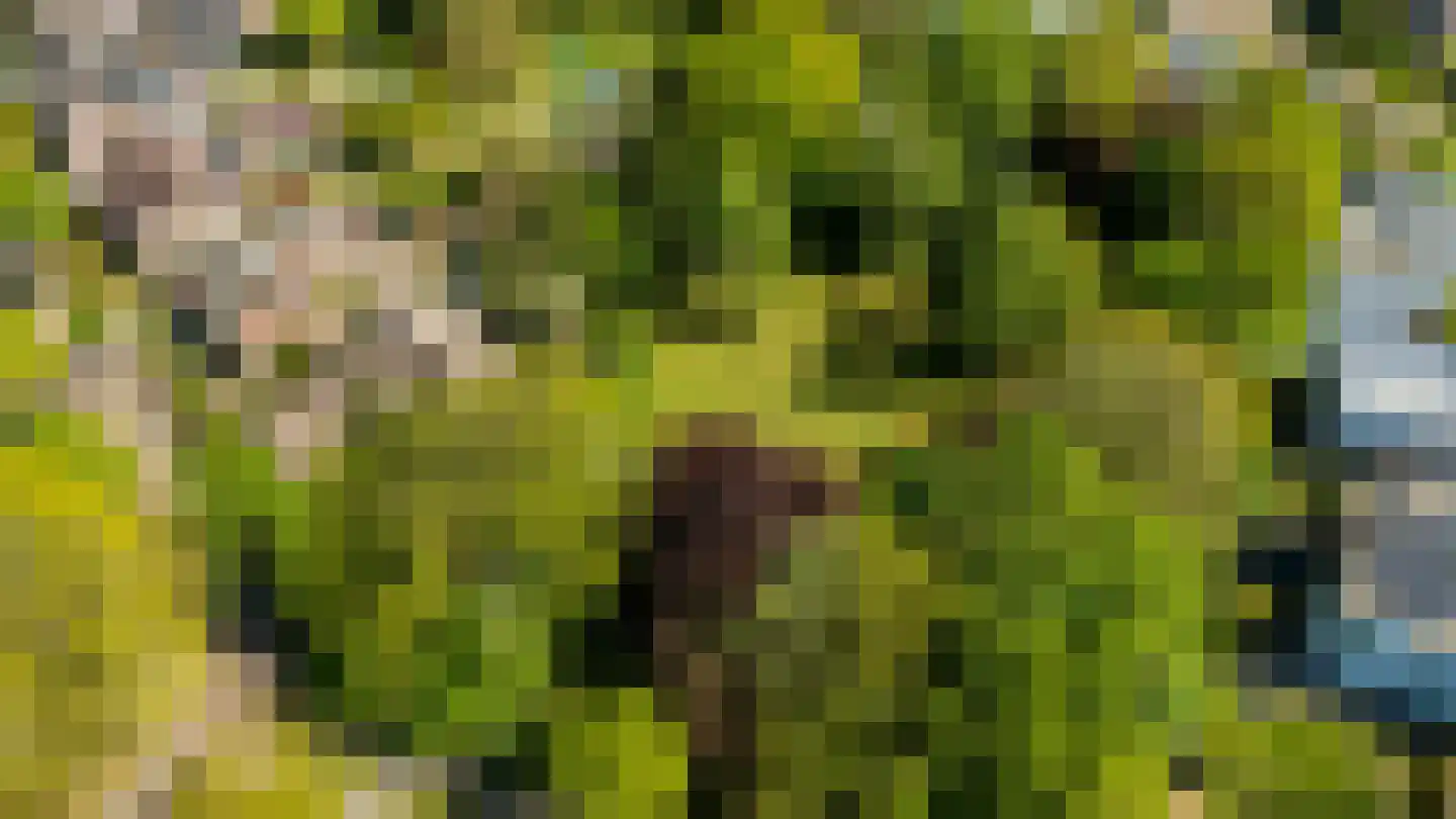 Akkerveld 13 Bavel thumbnail 35