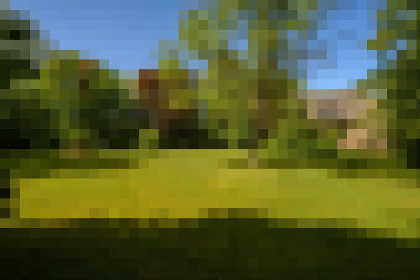 Akkerveld 13 Bavel thumbnail 5