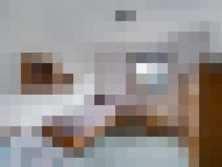 Akkerveld 2 Bavel thumbnail 15