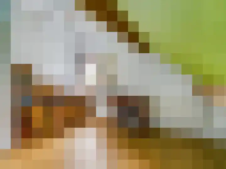 Akkerveld 2 Bavel thumbnail 25