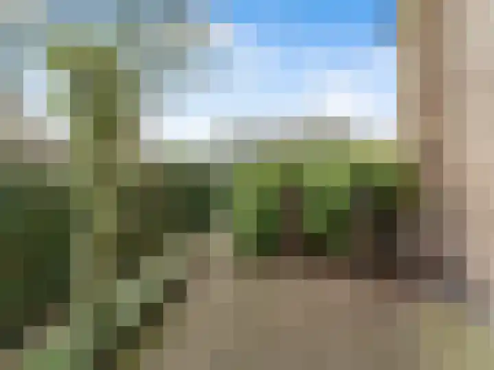 Akkerveld 2 Bavel thumbnail 29