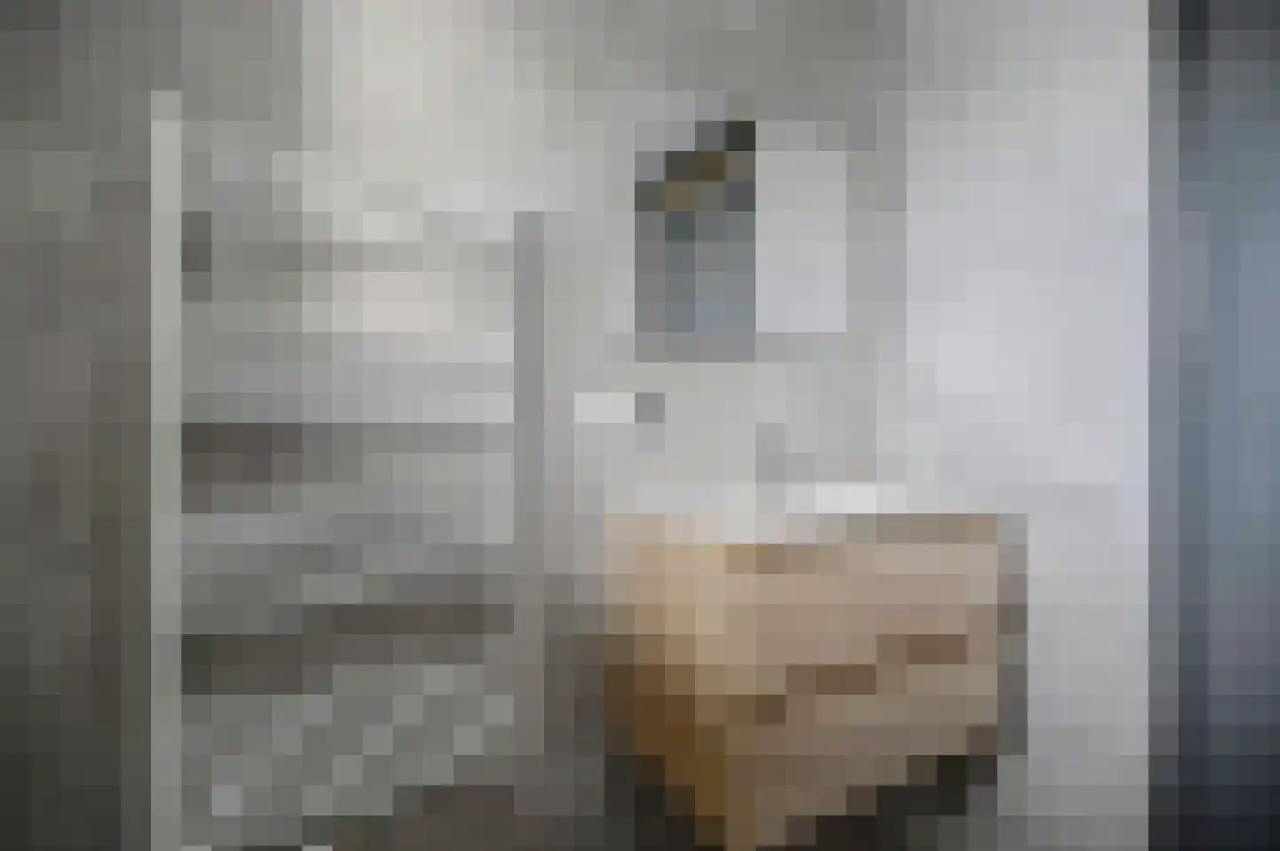 Akkerveld 70 Helden thumbnail 39