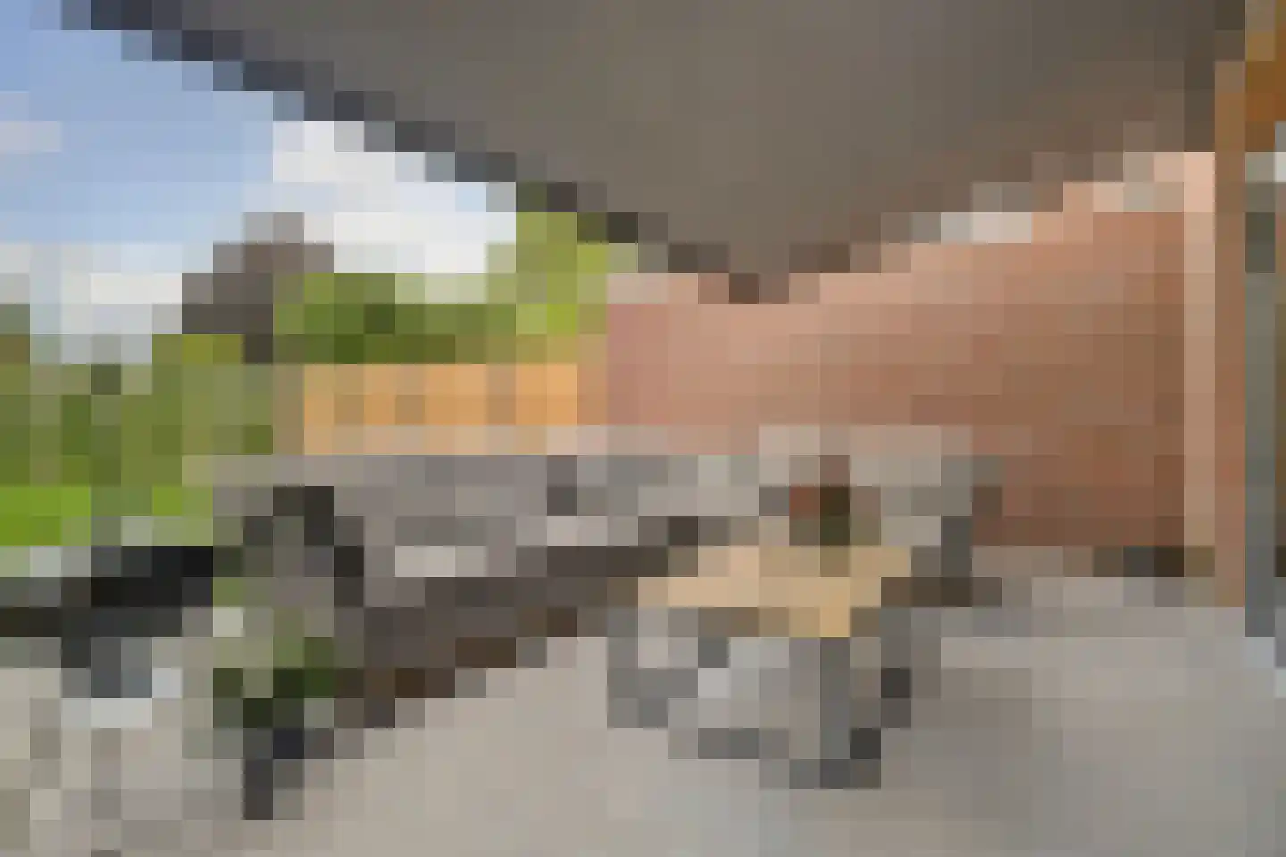 Akkerveld 70 Helden thumbnail 50