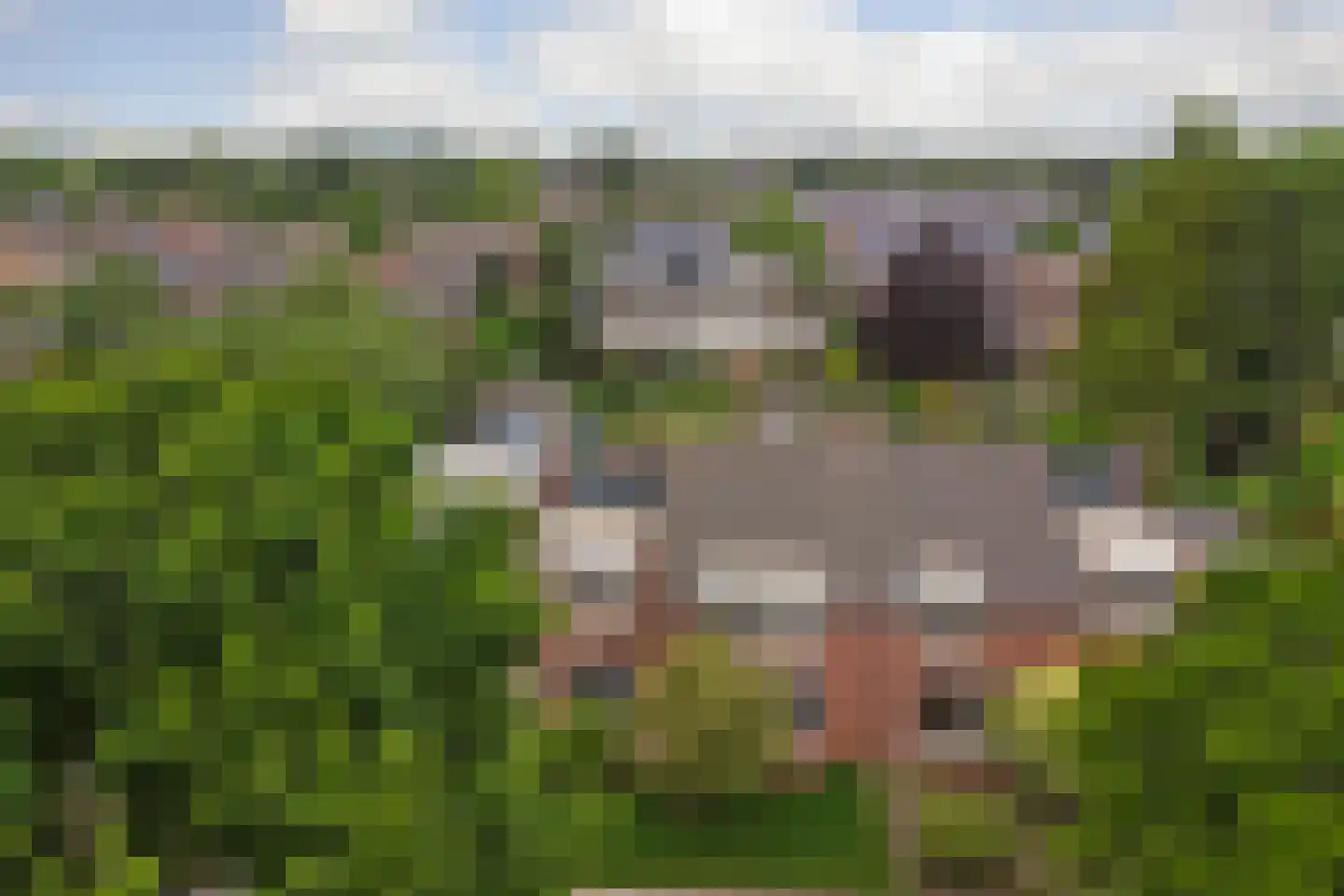 Akkerveld 70 Helden thumbnail 64