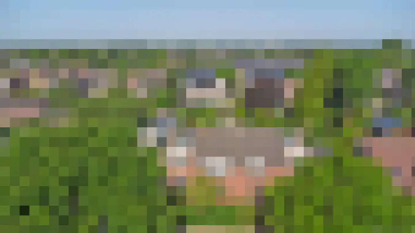 Akkerveld 70 Helden thumbnail 72