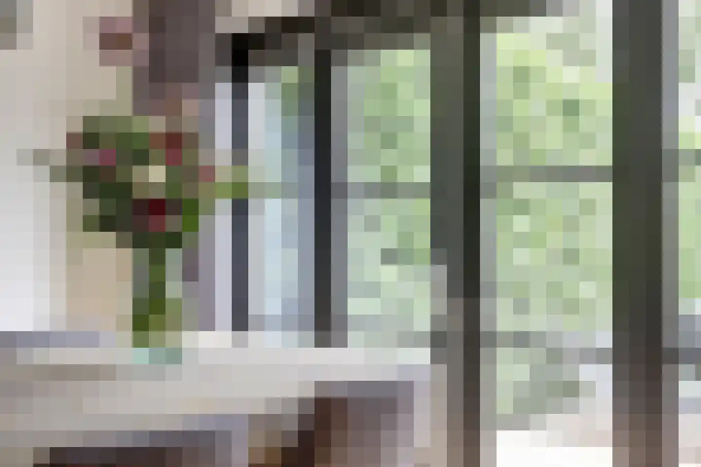 Akkerviool 19 Hendrik-Ido-Ambacht thumbnail 14