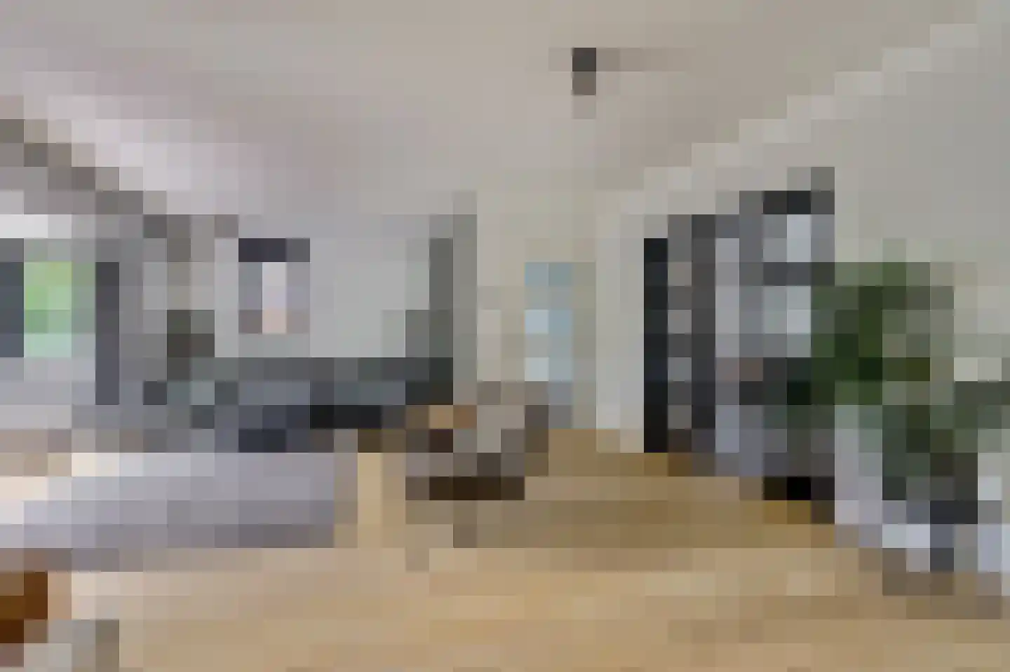 Akkerviool 19 Hendrik-Ido-Ambacht thumbnail 16