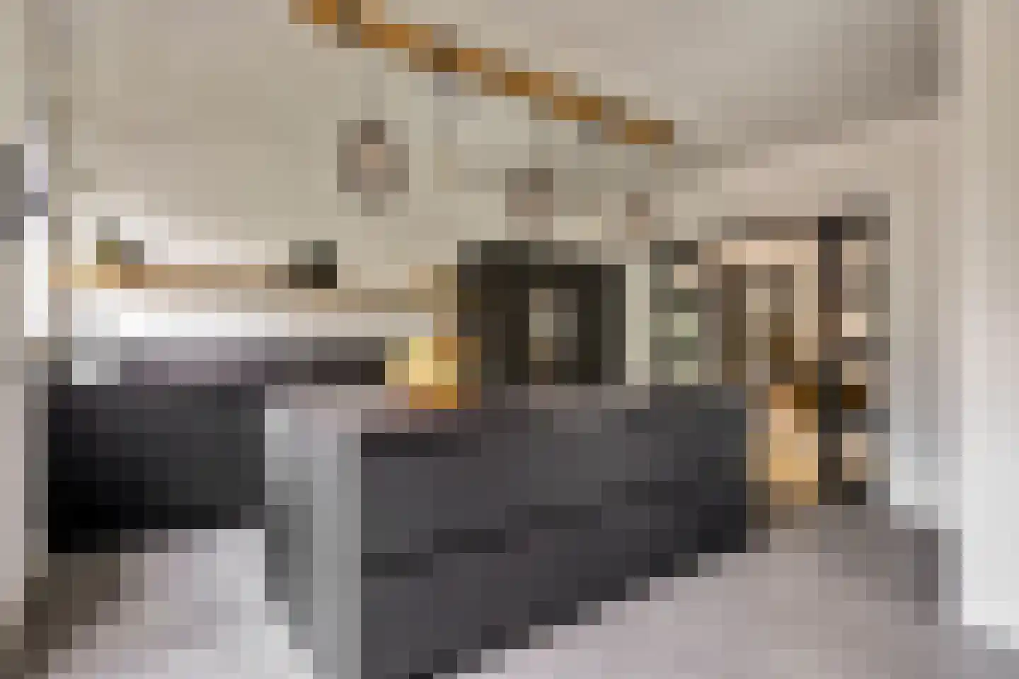 Akkerviool 19 Hendrik-Ido-Ambacht thumbnail 22