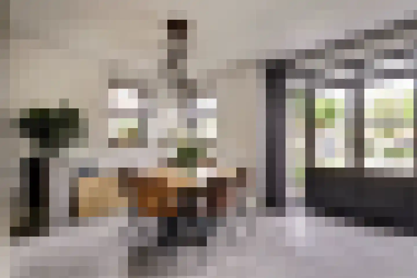 Akkerviool 19 Hendrik-Ido-Ambacht thumbnail 26