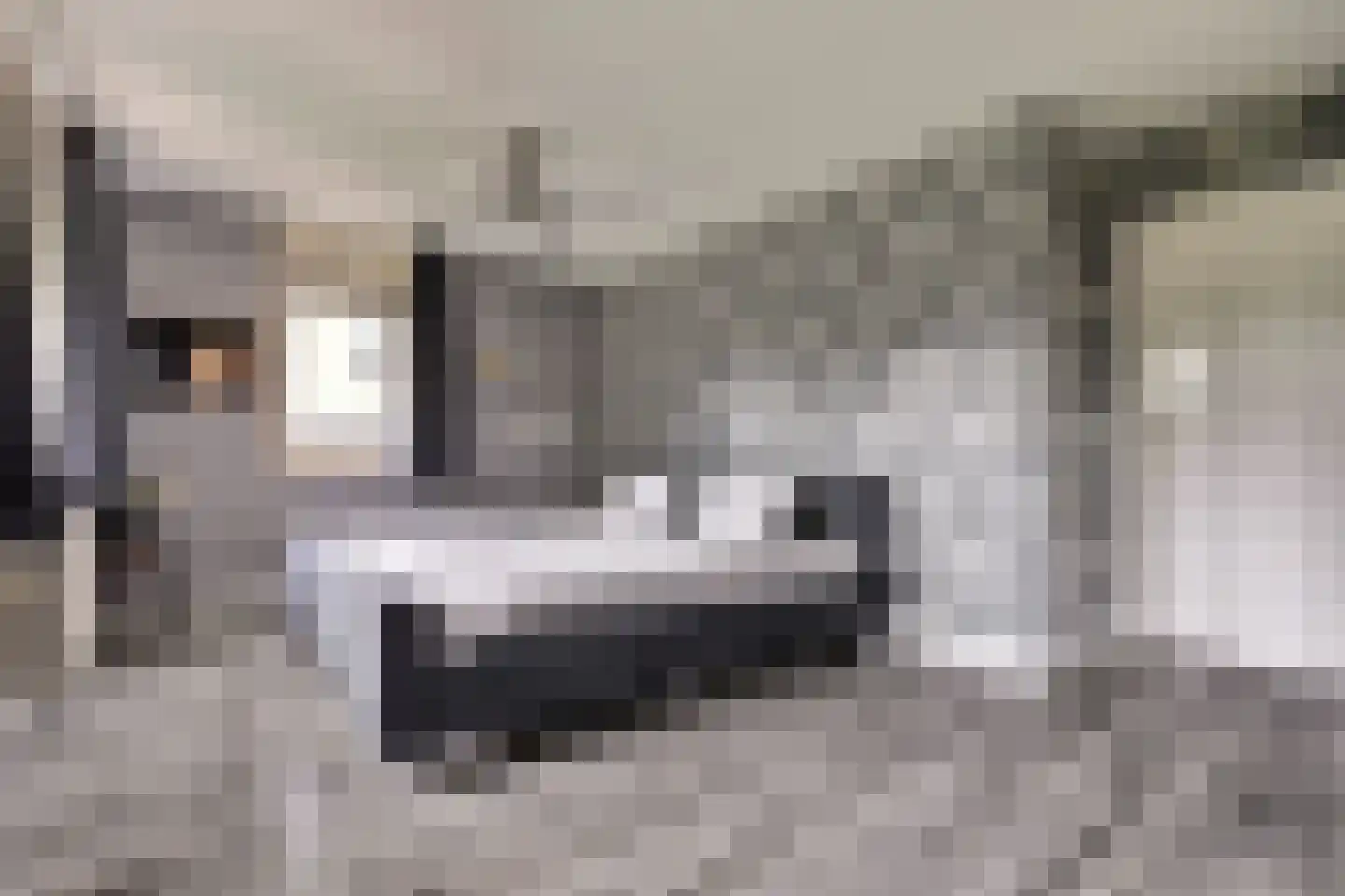 Akkerviool 19 Hendrik-Ido-Ambacht thumbnail 30