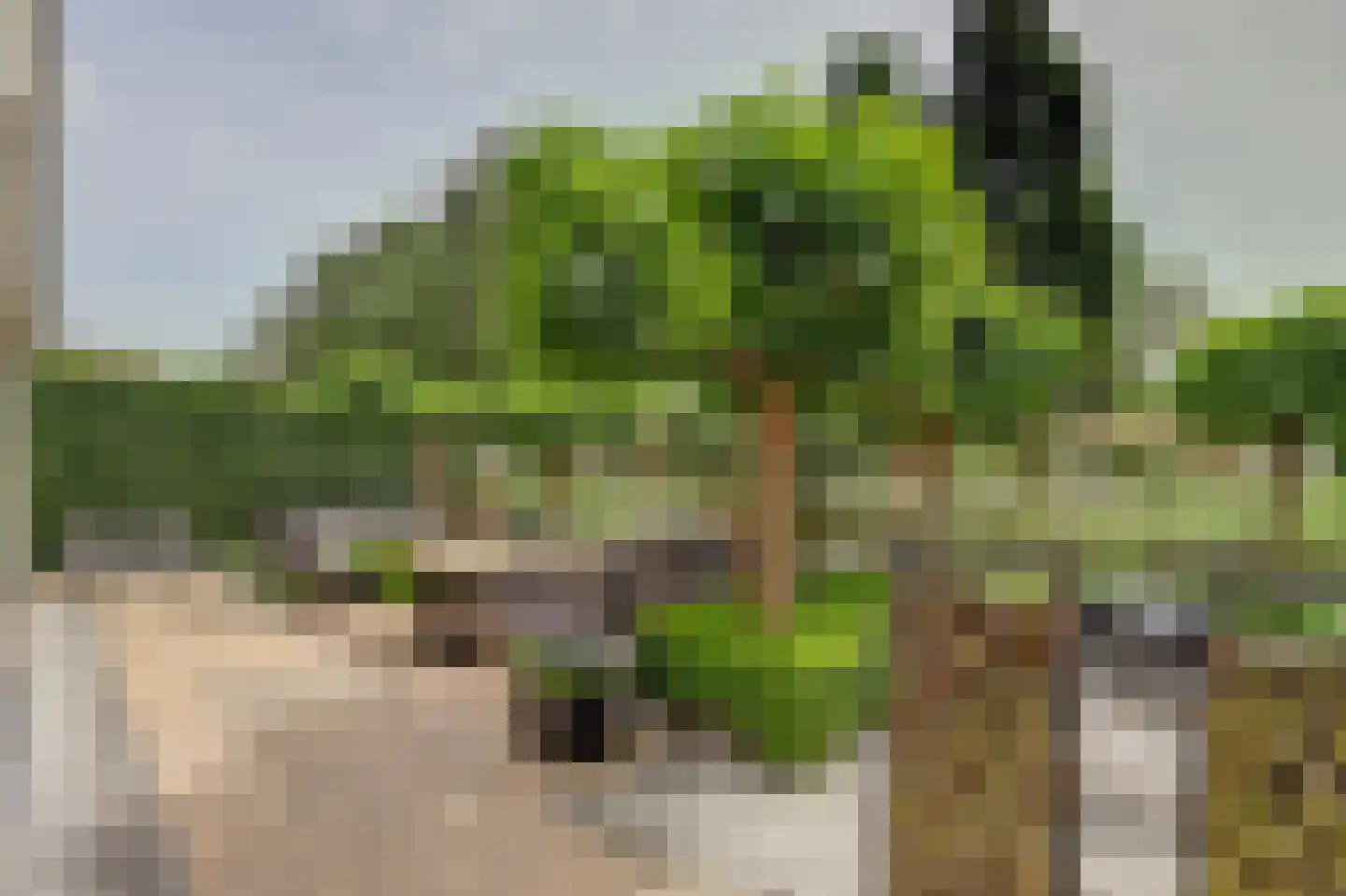 Akkerviool 19 Hendrik-Ido-Ambacht thumbnail 4