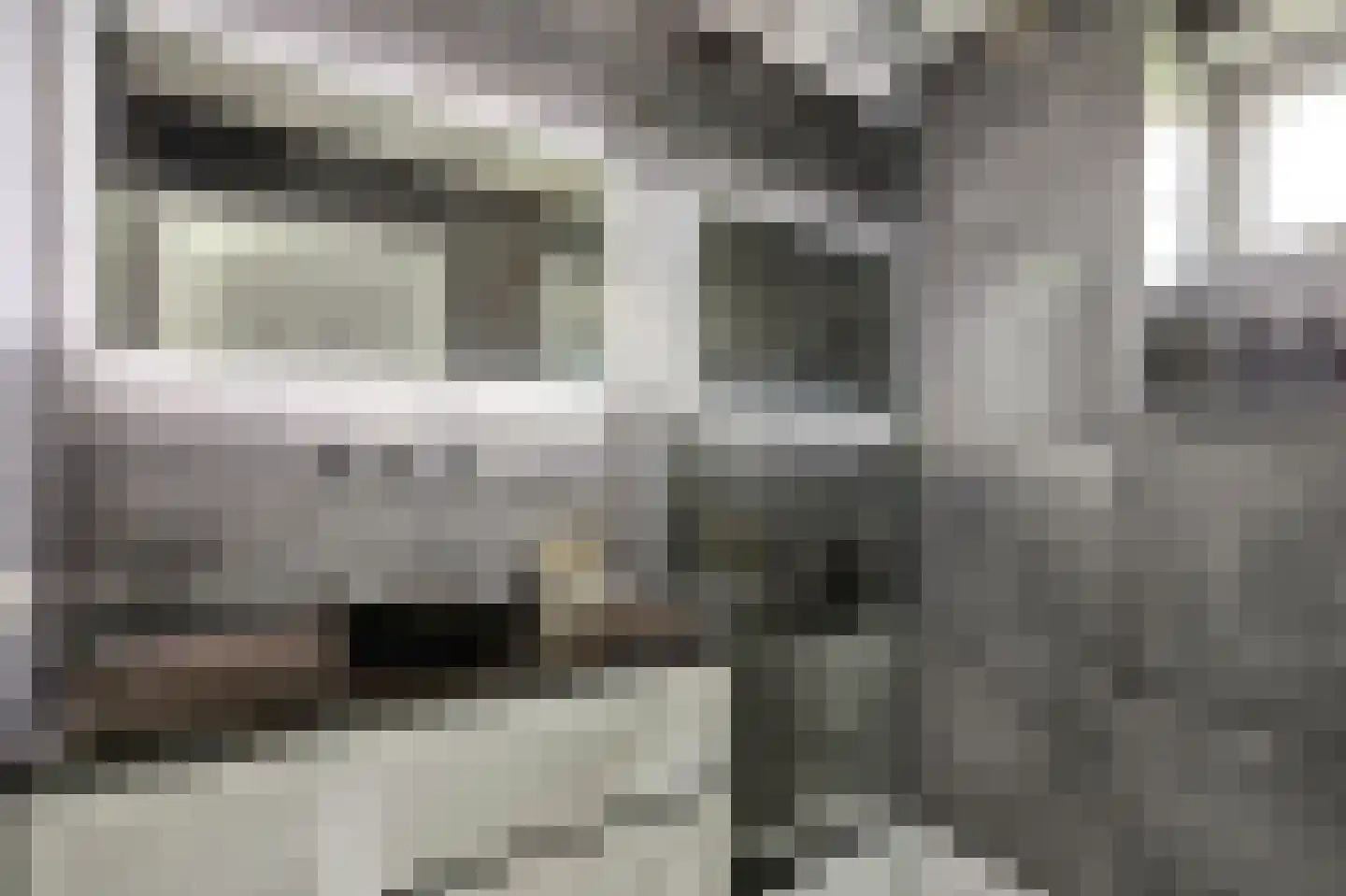 Akkerviool 19 Hendrik-Ido-Ambacht thumbnail 42