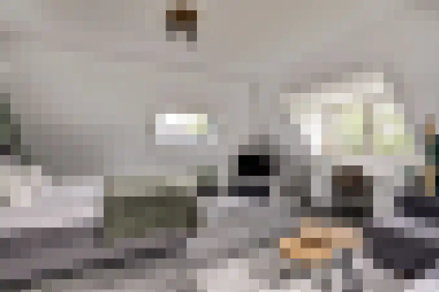 Akkerviool 19 Hendrik-Ido-Ambacht thumbnail 48
