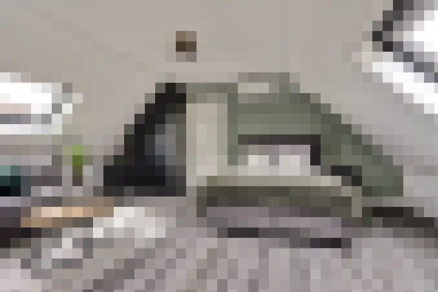 Akkerviool 19 Hendrik-Ido-Ambacht thumbnail 50