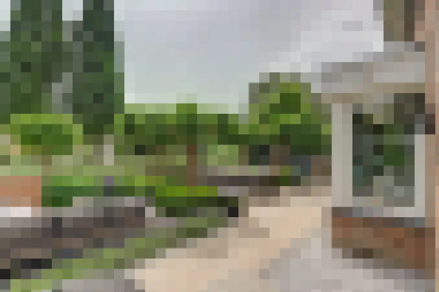 Akkerviool 19 Hendrik-Ido-Ambacht thumbnail 51