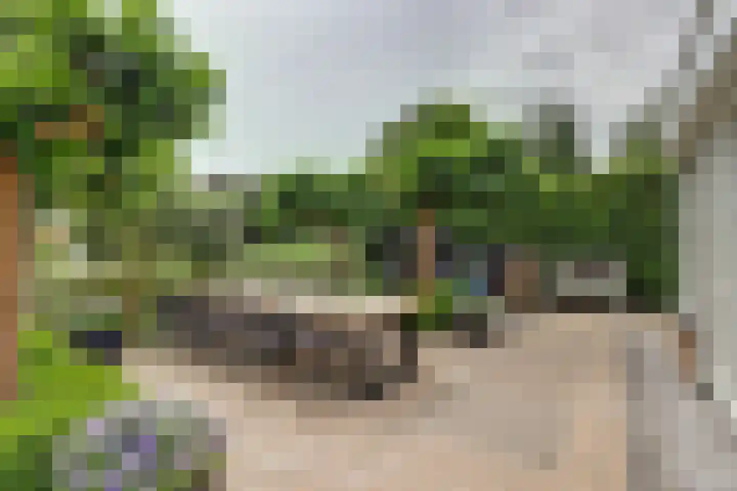 Akkerviool 19 Hendrik-Ido-Ambacht thumbnail 54