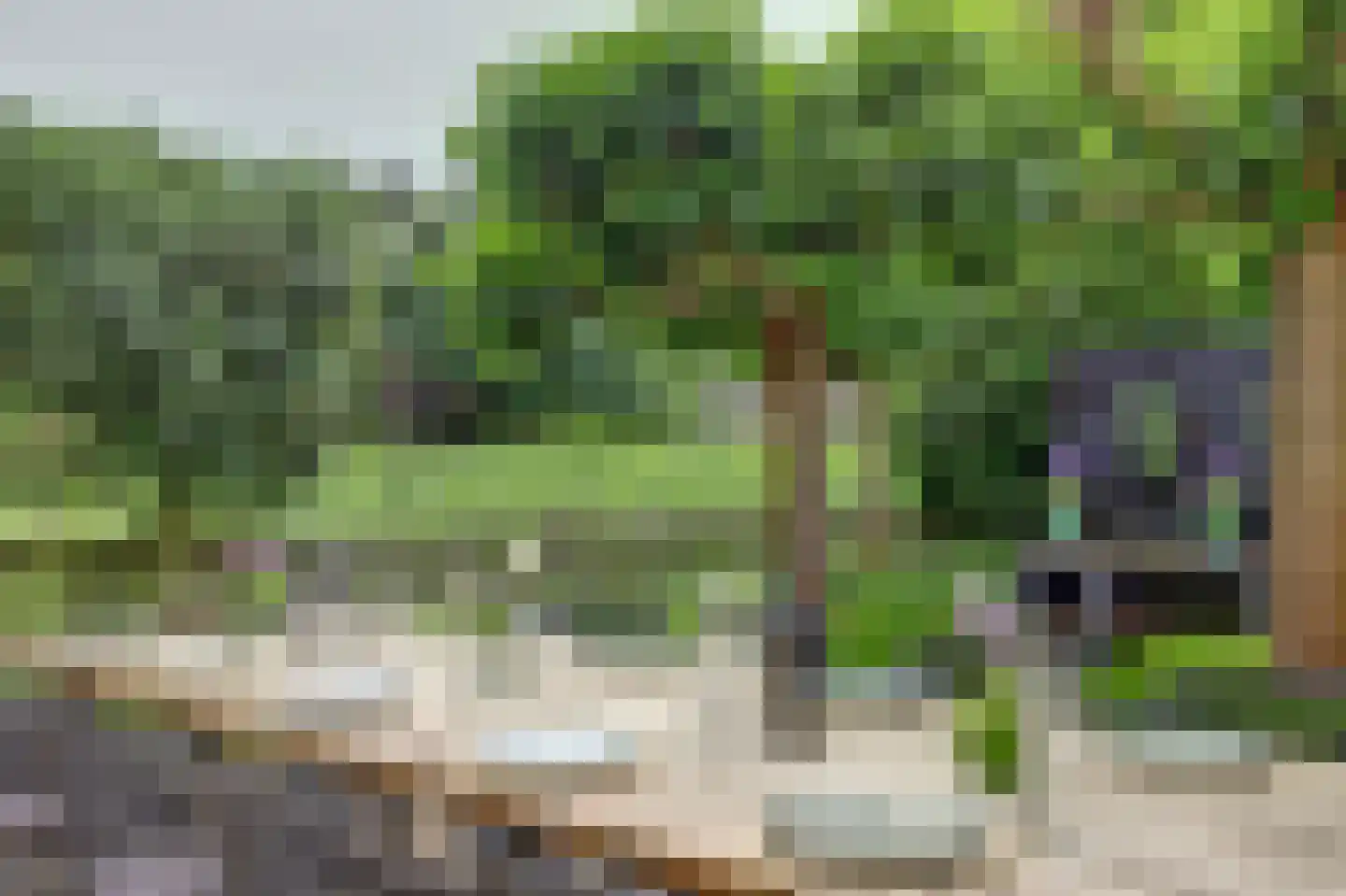 Akkerviool 19 Hendrik-Ido-Ambacht thumbnail 55