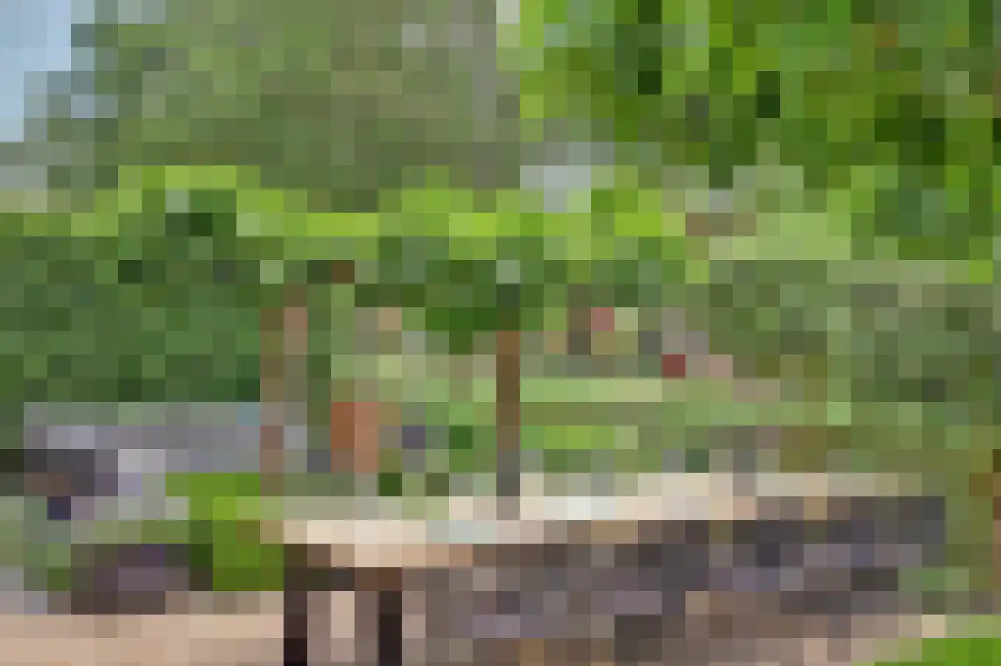 Akkerviool 19 Hendrik-Ido-Ambacht thumbnail 56