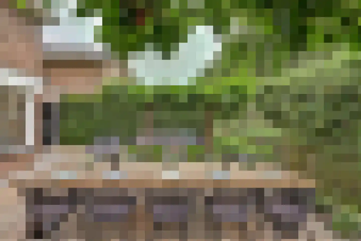 Akkerviool 19 Hendrik-Ido-Ambacht thumbnail 57