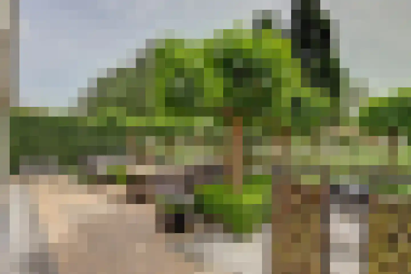 Akkerviool 19 Hendrik-Ido-Ambacht thumbnail 64