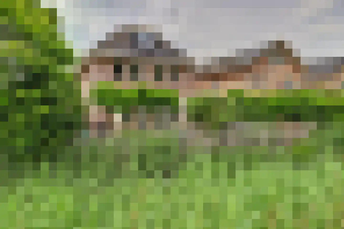 Akkerviool 19 Hendrik-Ido-Ambacht thumbnail 65