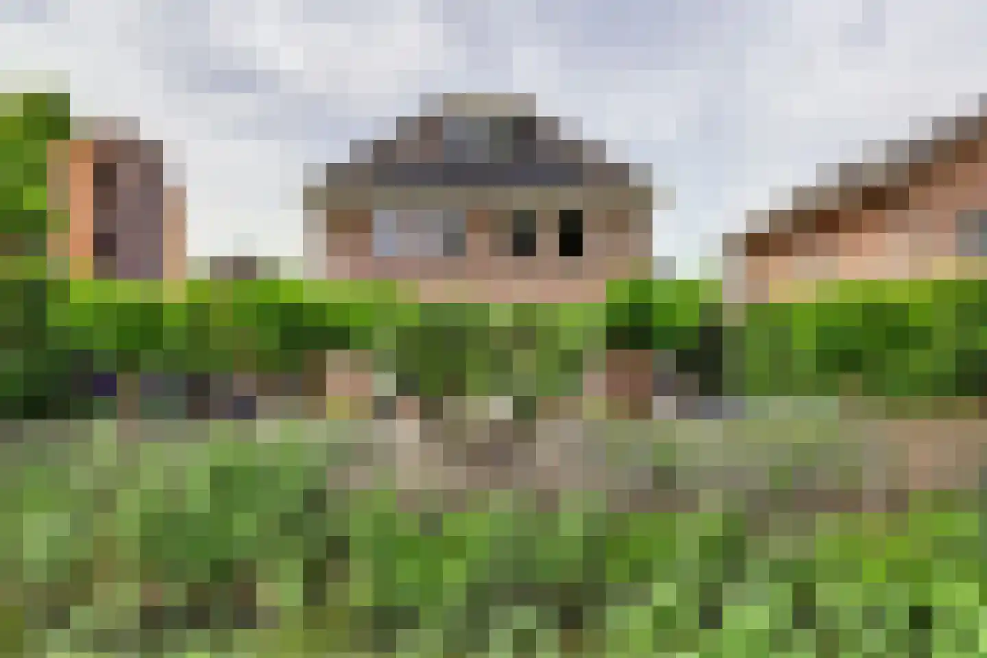 Akkerviool 19 Hendrik-Ido-Ambacht thumbnail 66