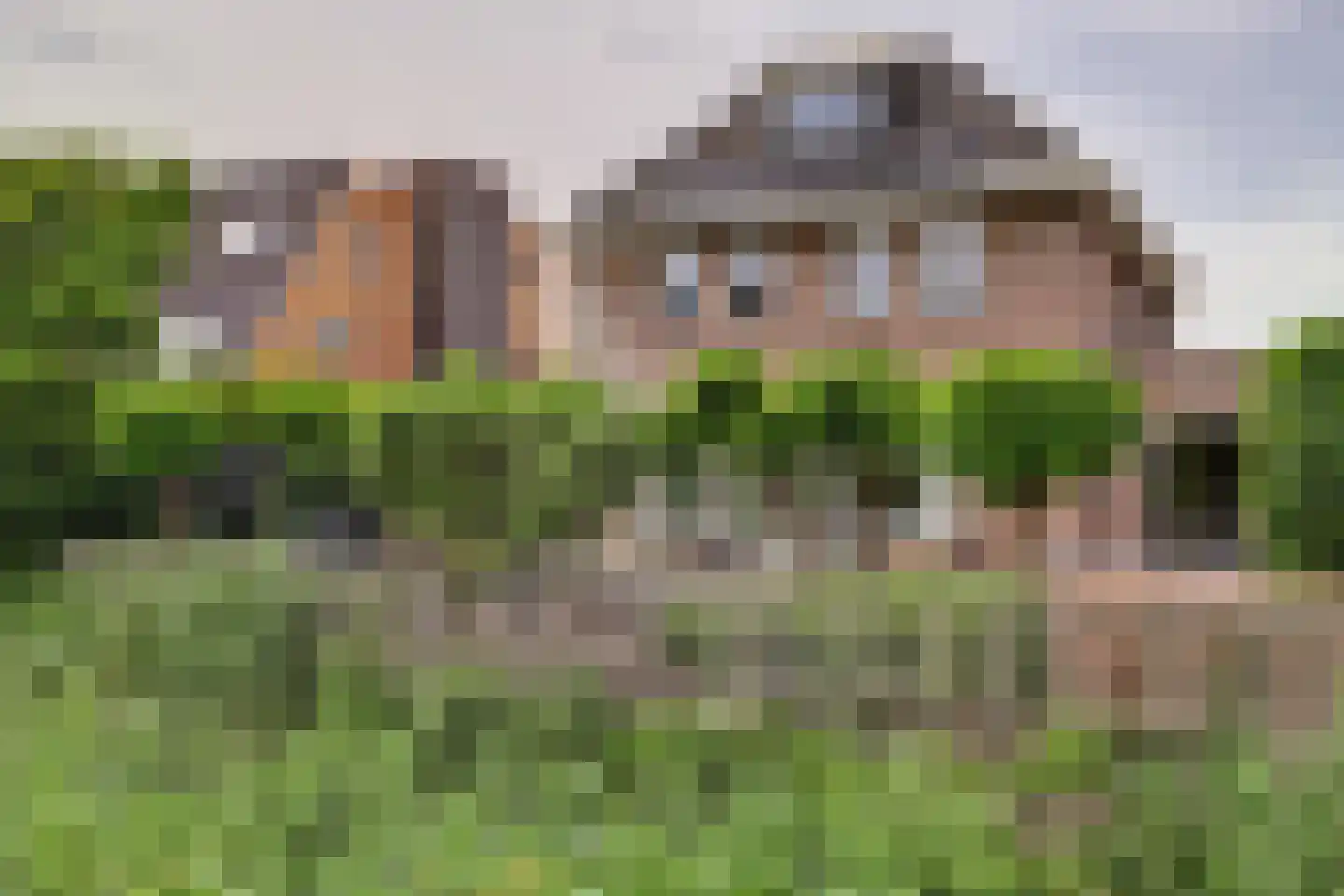 Akkerviool 19 Hendrik-Ido-Ambacht thumbnail 67