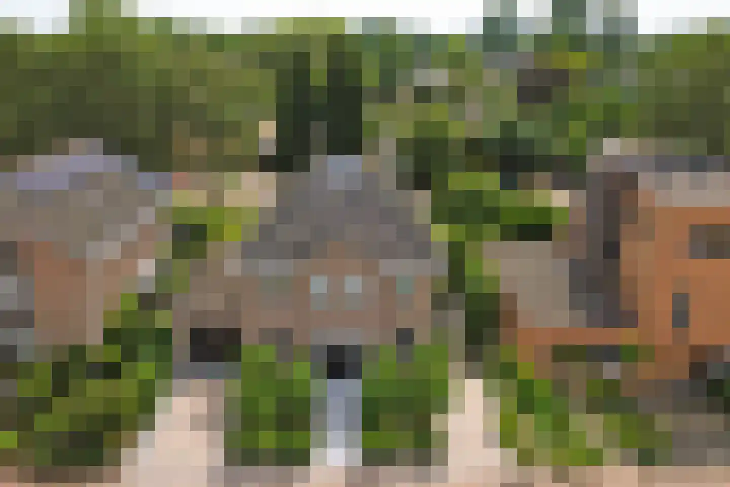 Akkerviool 19 Hendrik-Ido-Ambacht thumbnail 79
