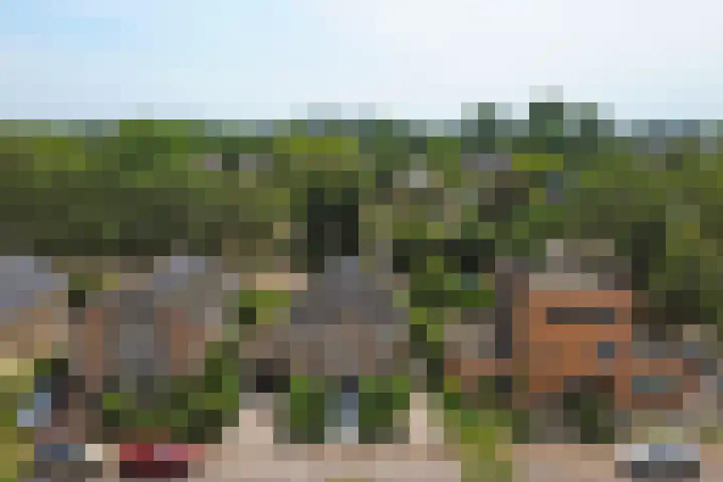 Akkerviool 19 Hendrik-Ido-Ambacht thumbnail 80