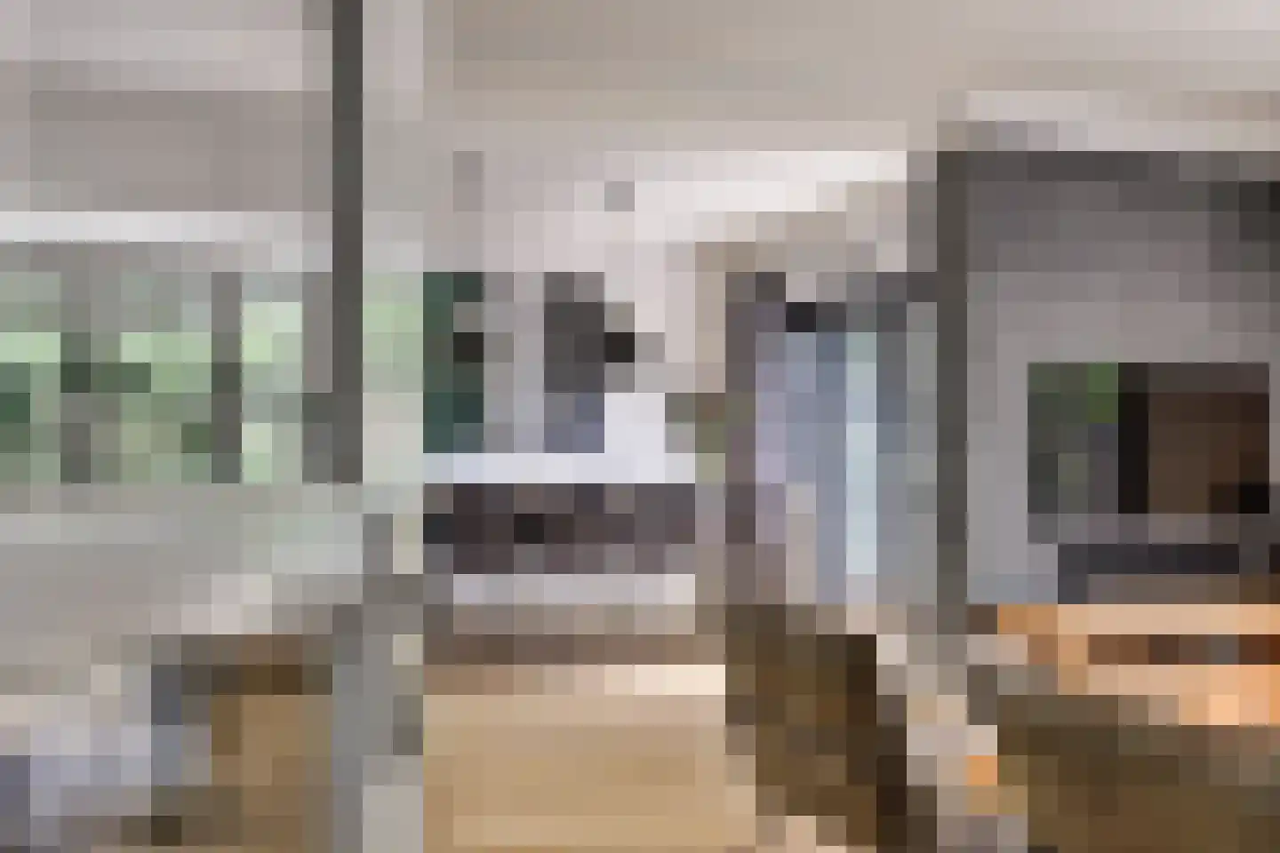 Akkerviool 19 Hendrik-Ido-Ambacht thumbnail 9