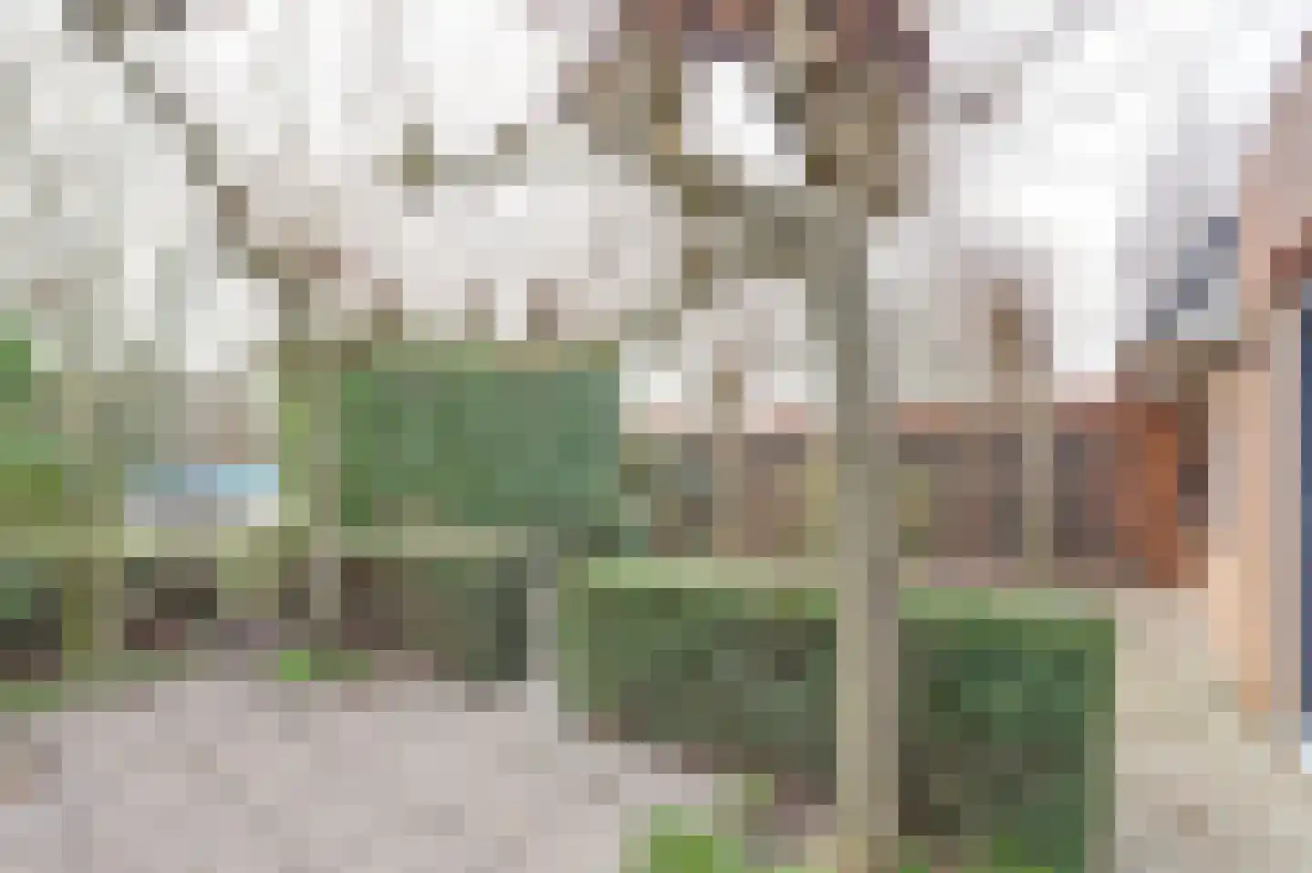 Akkerviool 21 Hendrik-Ido-Ambacht thumbnail 31