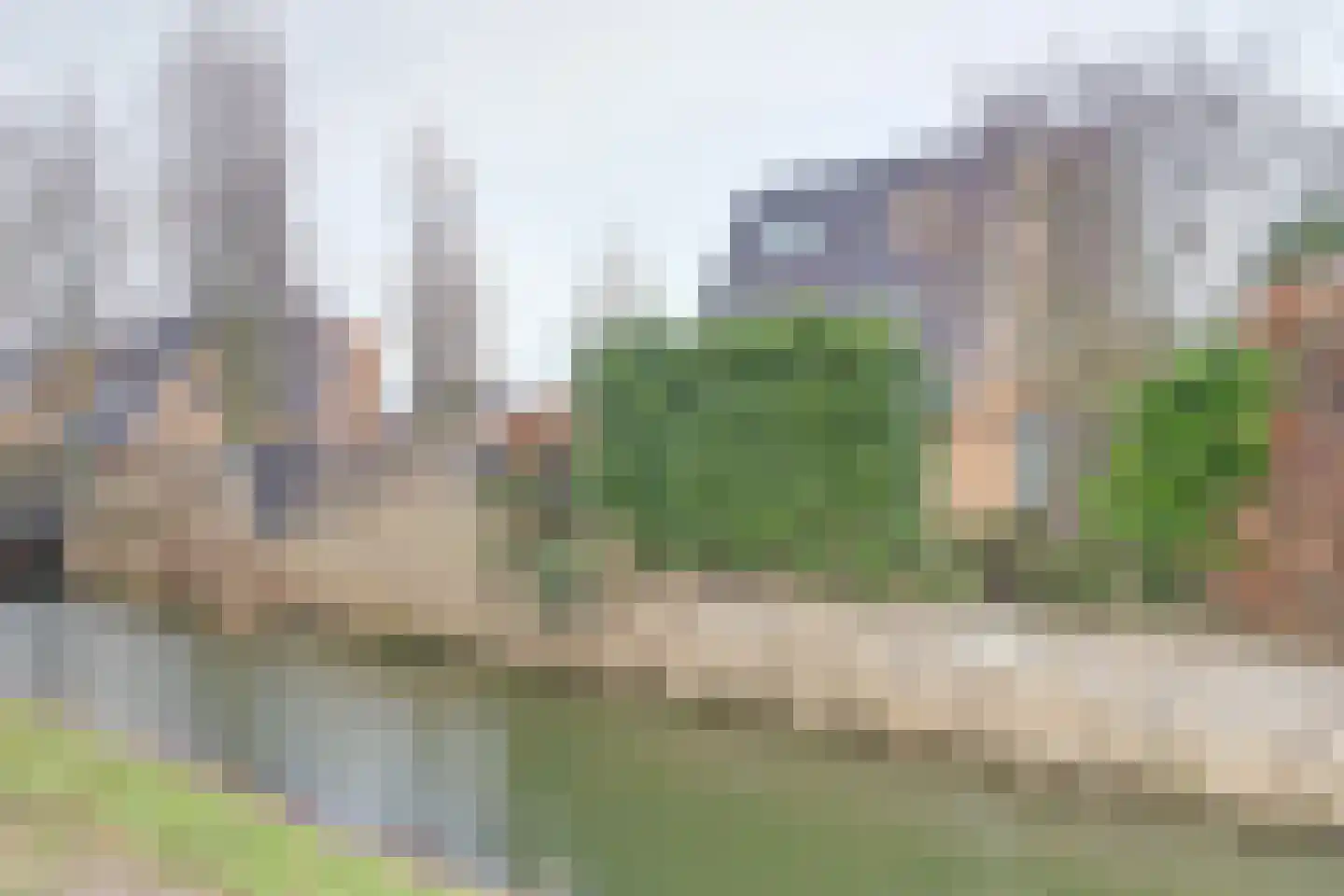 Akkerviool 21 Hendrik-Ido-Ambacht thumbnail 32