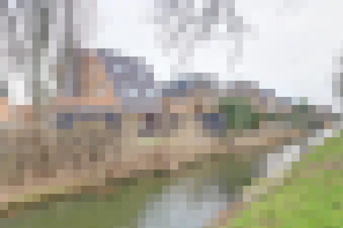 Akkerviool 21 Hendrik-Ido-Ambacht thumbnail 33