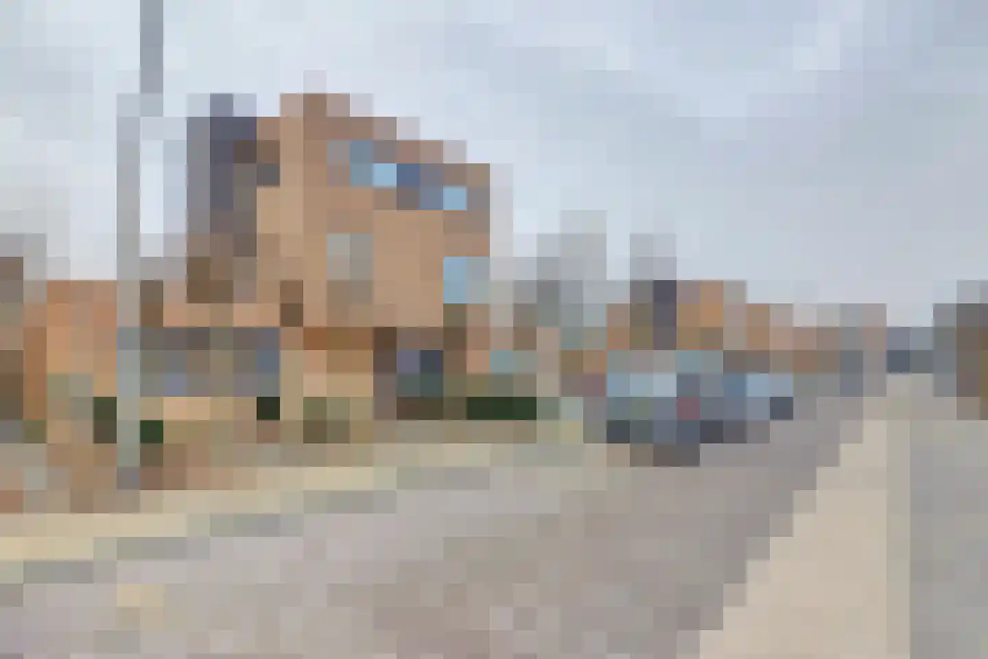 Akkerviool 21 Hendrik-Ido-Ambacht thumbnail 36