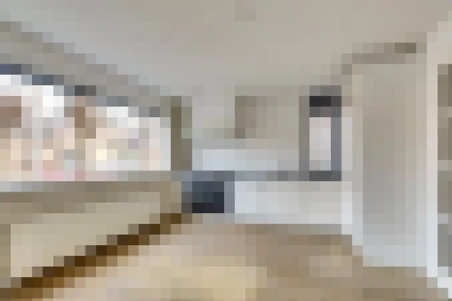 Akkerviool 21 Hendrik-Ido-Ambacht thumbnail 9