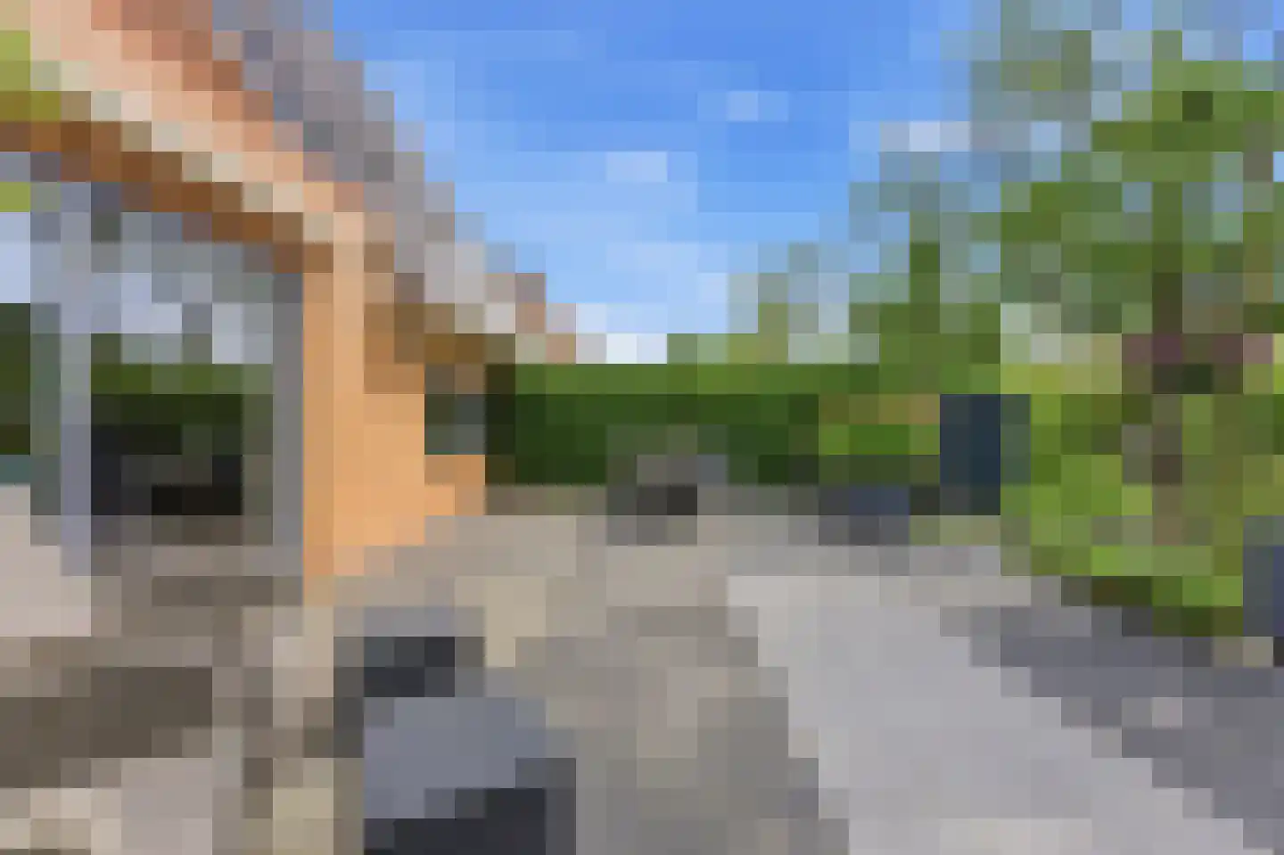 Akkerviool 55 Hendrik-Ido-Ambacht thumbnail 15