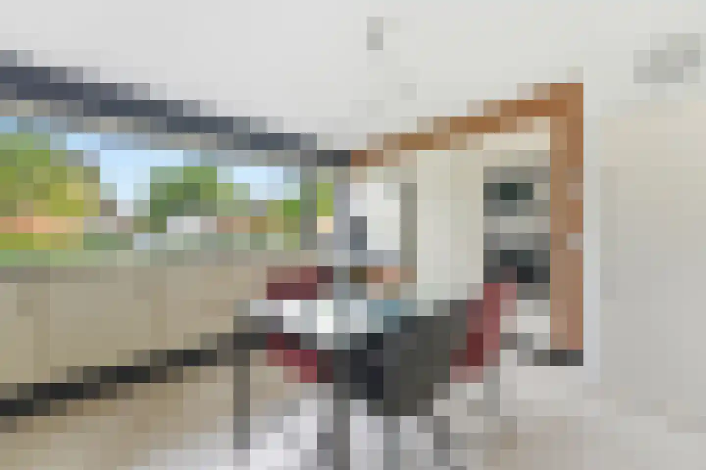 Akkerviool 55 Hendrik-Ido-Ambacht thumbnail 19