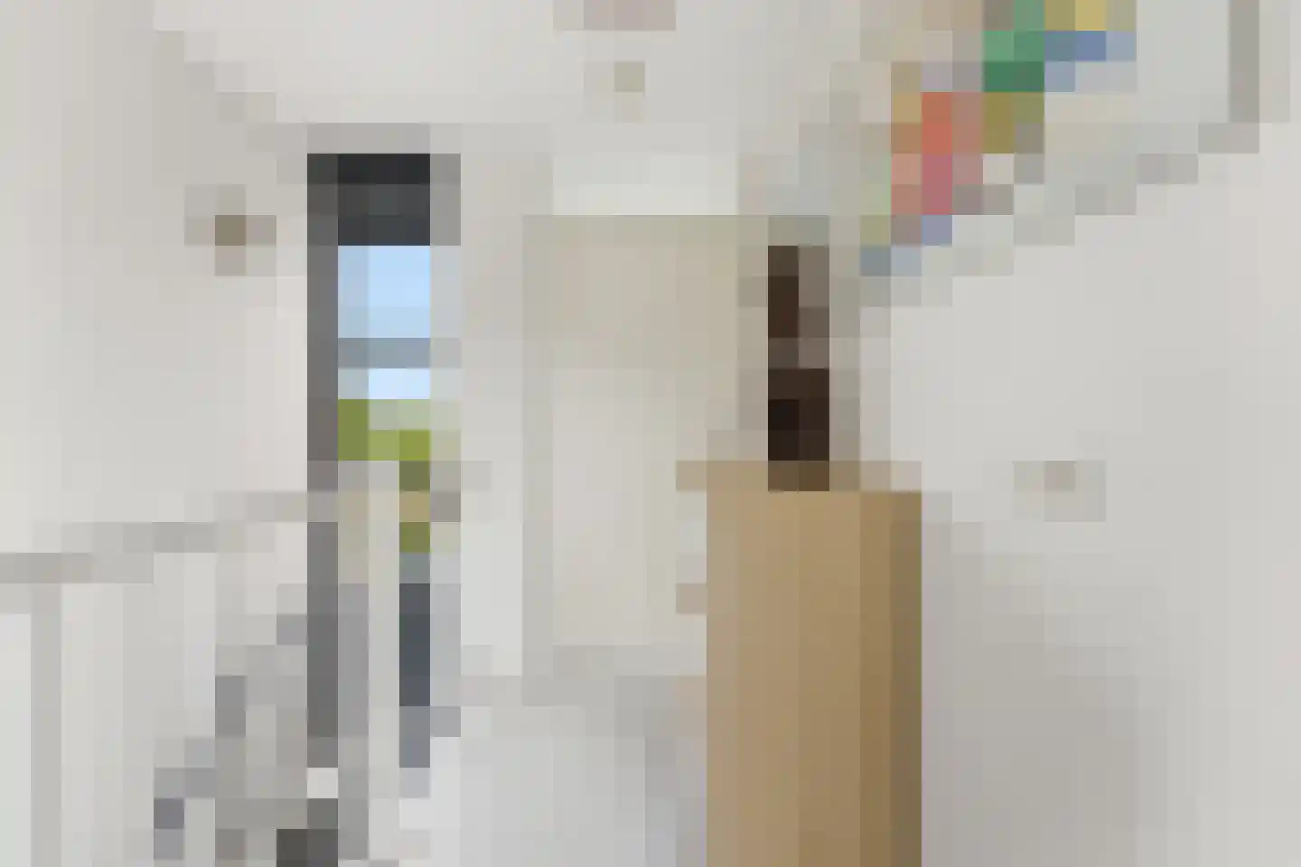 Akkerviool 55 Hendrik-Ido-Ambacht thumbnail 32