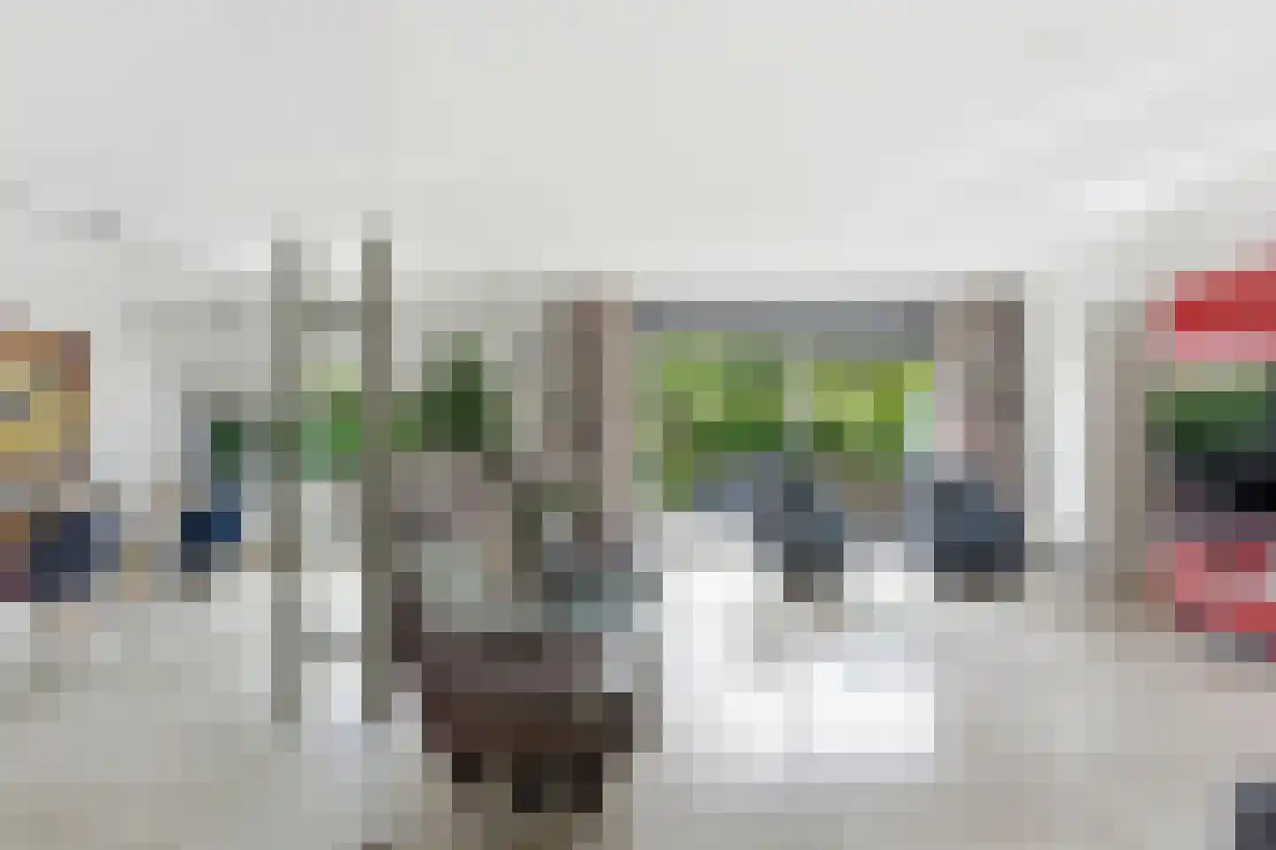 Akkerviool 55 Hendrik-Ido-Ambacht thumbnail 5