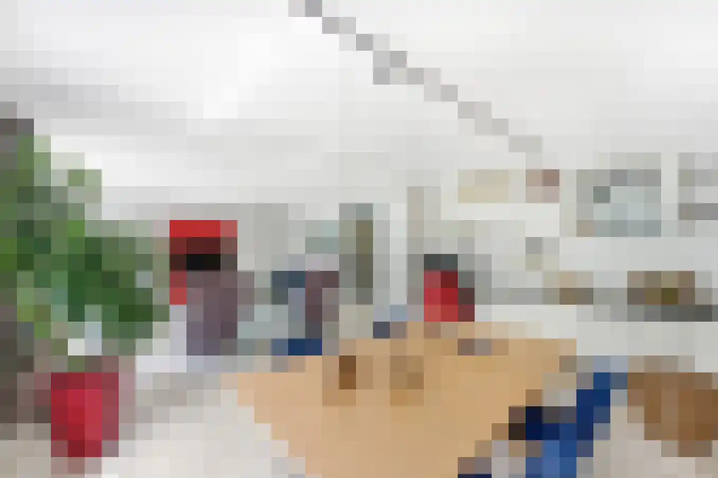 Akkerviool 55 Hendrik-Ido-Ambacht thumbnail 8
