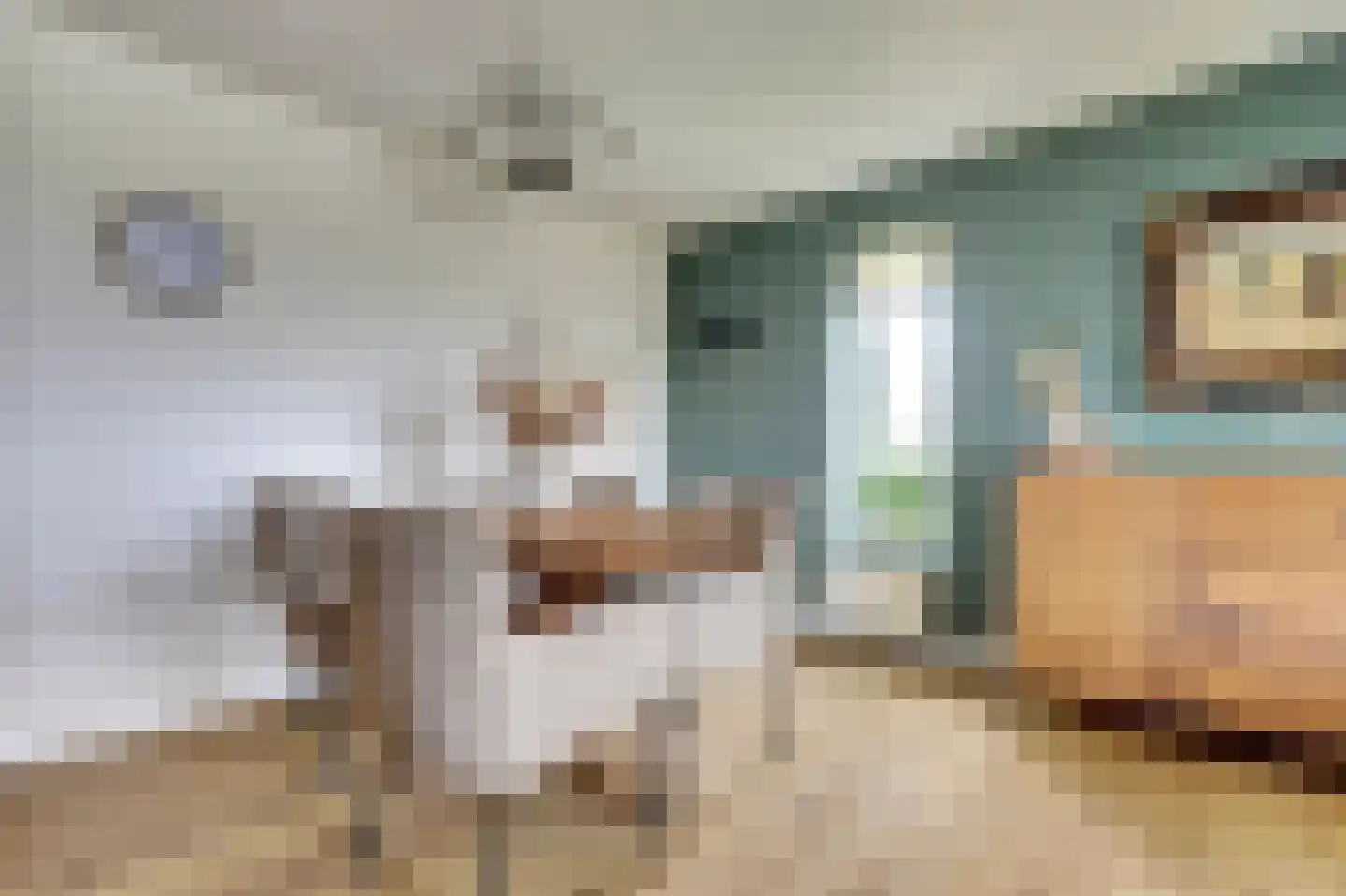 Akkerviool 85 Hendrik-Ido-Ambacht thumbnail 10