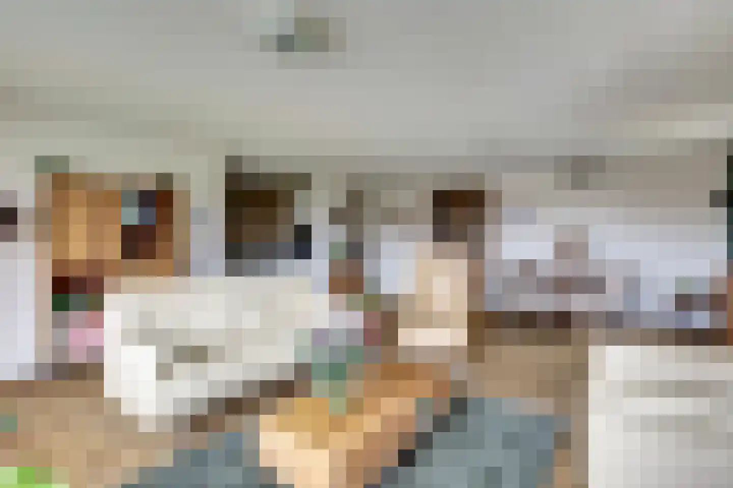 Akkerviool 85 Hendrik-Ido-Ambacht thumbnail 12