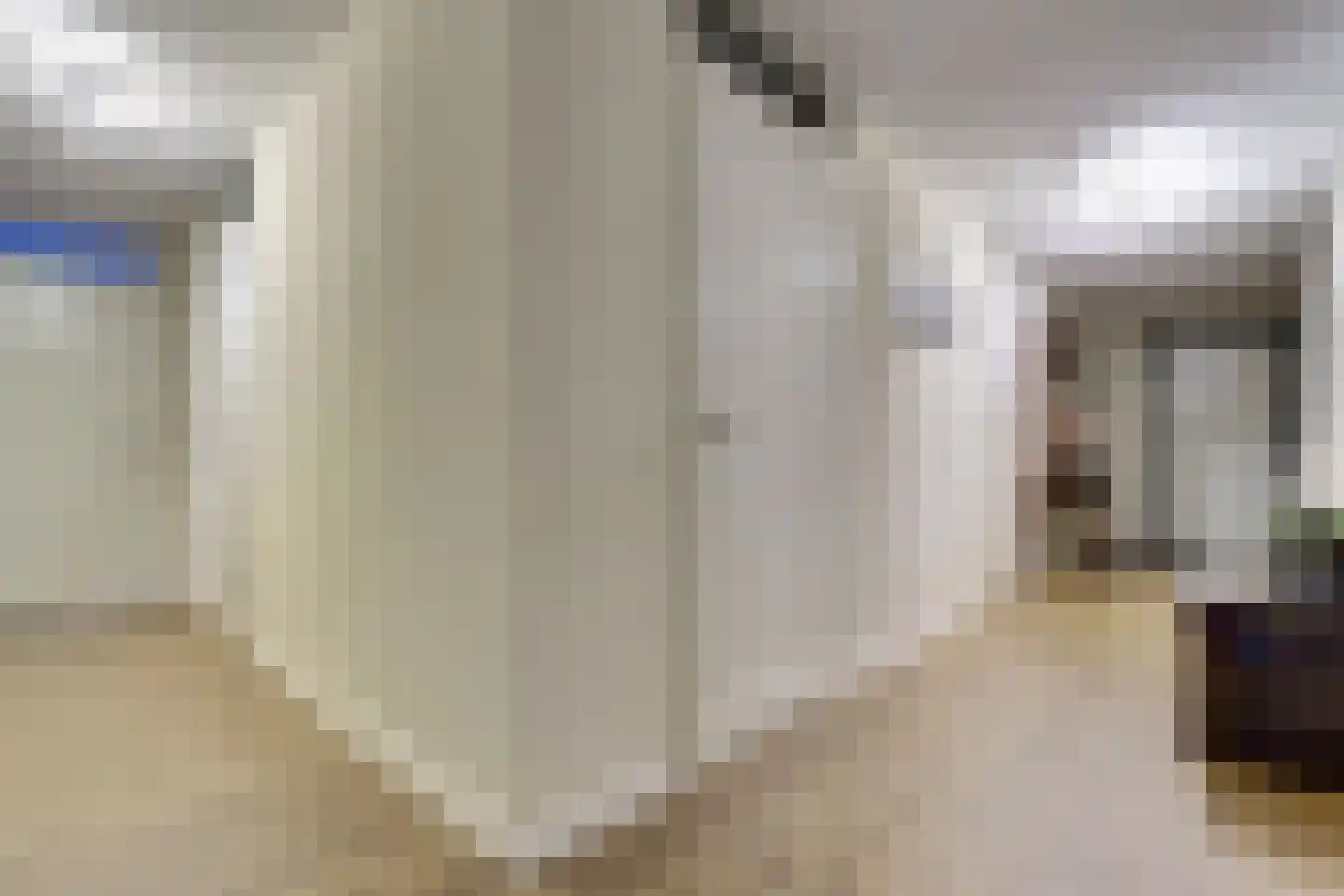 Akkerviool 85 Hendrik-Ido-Ambacht thumbnail 17
